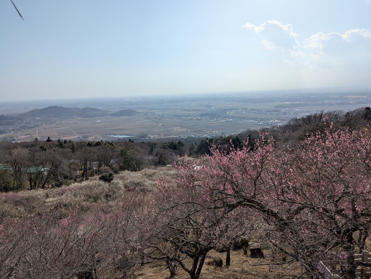 nerudeirinu's tweet photo. 初めて筑波山に行ってきましたー！！！
初心者ルートだったけど、結構キツかった…。
梅祭りもやっててめちゃくちゃいい匂いだった…☺️
筋肉痛よ…明日…来てくれよ…。 https://t.co/GUedWhxsCA