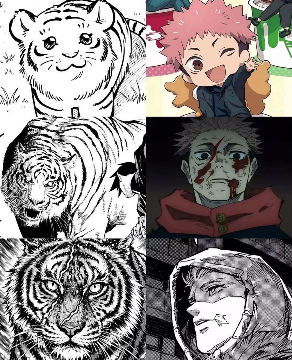 The evolution of the "Tiger of West Junior High."