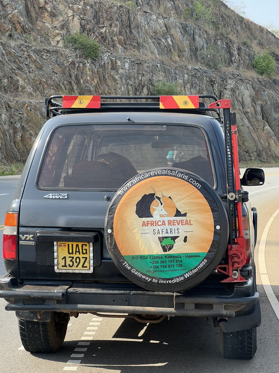 The_Ugandan_Boy's tweet photo. Sweet day 004/10
C/o @RevealSafari 
We are professionals 👊❤️ https://t.co/Hx9keX4D96