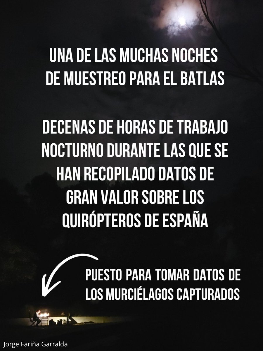 SECEMU_'s tweet photo. Noches de muestreo de murciélagos durante los trabajos para el BATlas, que han resultado en la recopilación de una enorme cantidad de datos
#secemu
#atlas_secemu
#seguimiento_quiropteros
#murcielagos
@mitecogob
#proyecto3088153 #miteco #tragsatec #atlas_miteco
#nextgenerationEU https://t.co/JRxKY7NpVa