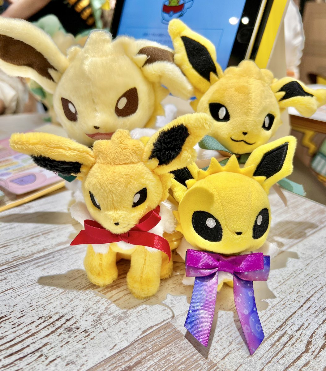 なんでかいっぱい伸びたけどうちの🎀サンダースズも可愛いので見て