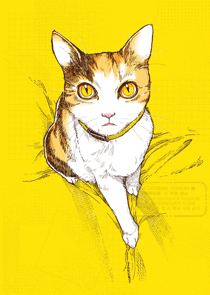 橘+櫻 (@mizuki_orange) / Posts / X