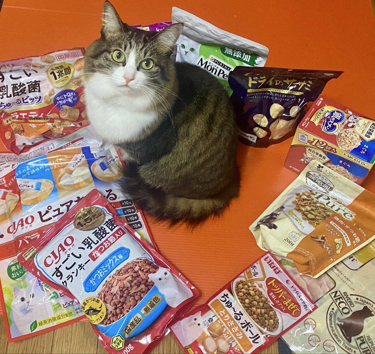 kokoichiban2's tweet photo. ありがとうございます😊 https://t.co/1m0EPPTmWj