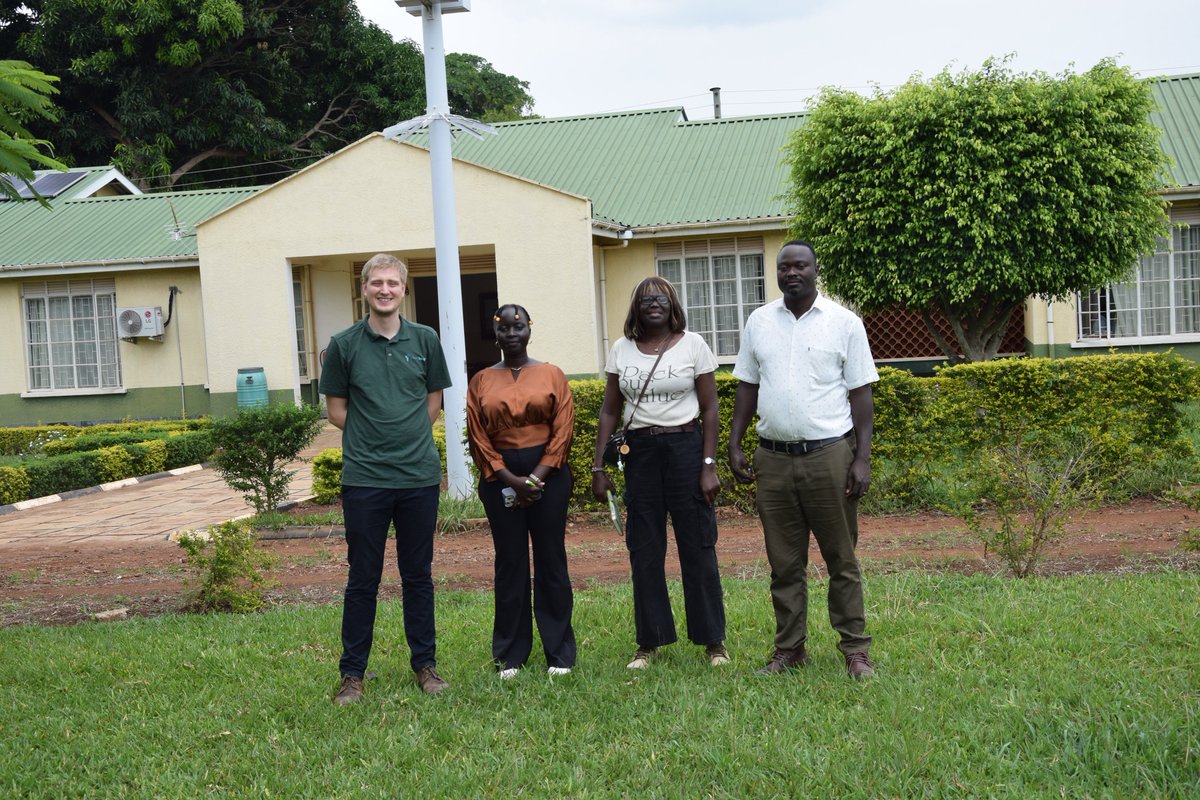 Bulindi ZARDI tweet media