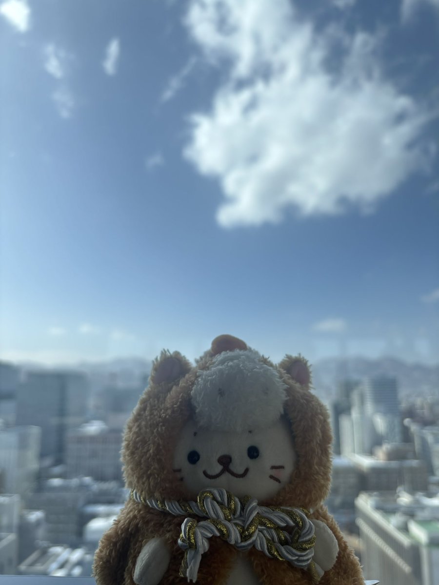 46mico's tweet photo. 晴れ☀️(=•ω•=) https://t.co/ijrfLapSF3