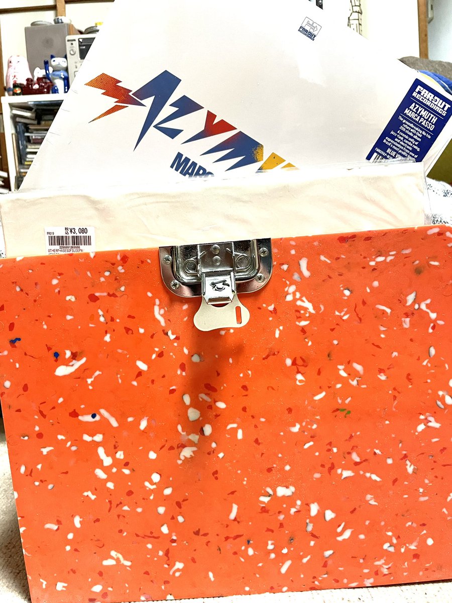 可愛いレコードバッグ（ケース）を手に入れました。配色が鬼可愛くて