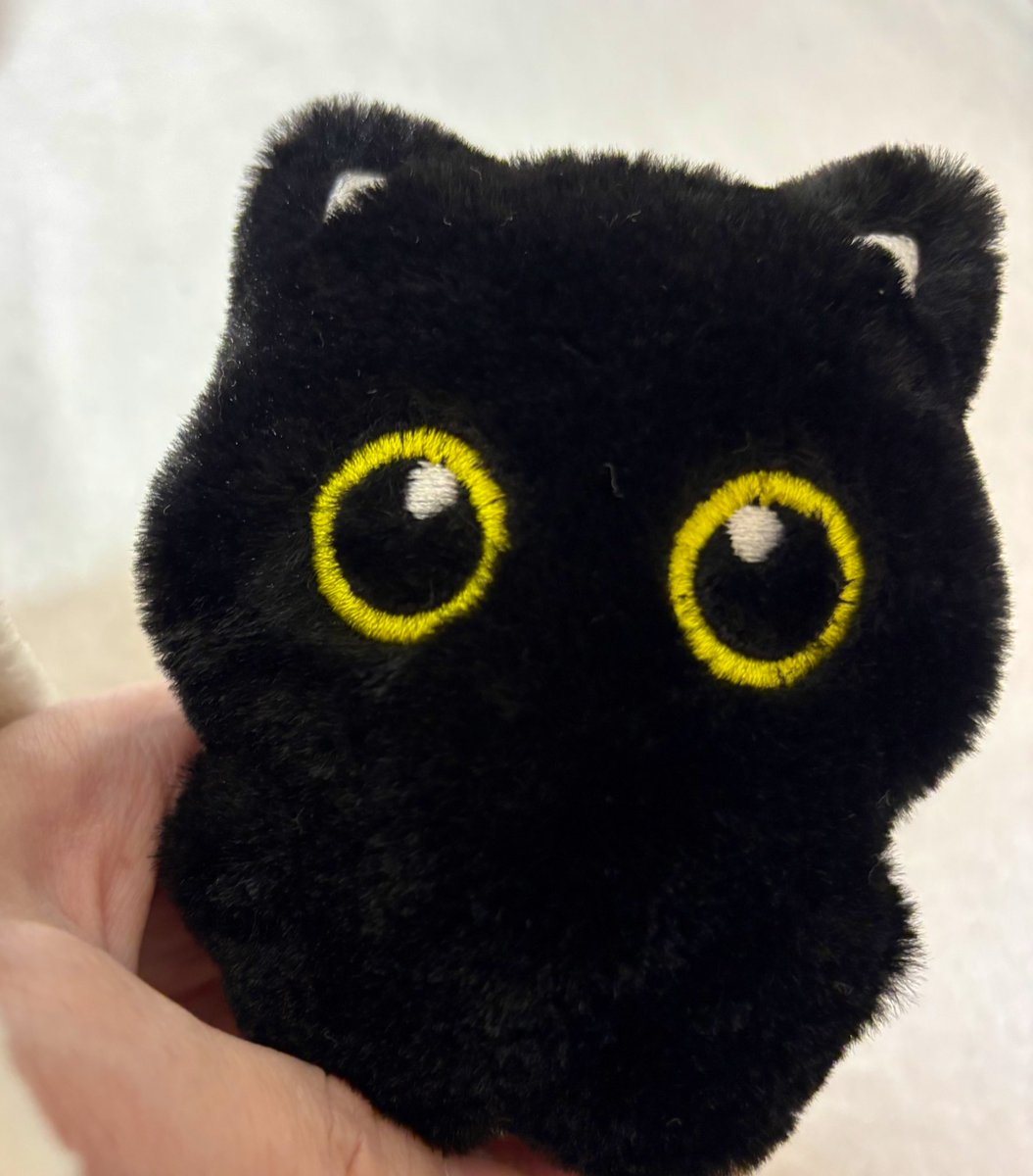 大事な人に届きますように。

どこにいますか？
元気にしていますか？
私は今あの場所に1人でいます。
寂しいです。
涙が止まりません。
奇跡を信じています。
ずっとずっと待っています。

ルドルフよりฅ🐾　ﾘﾘ