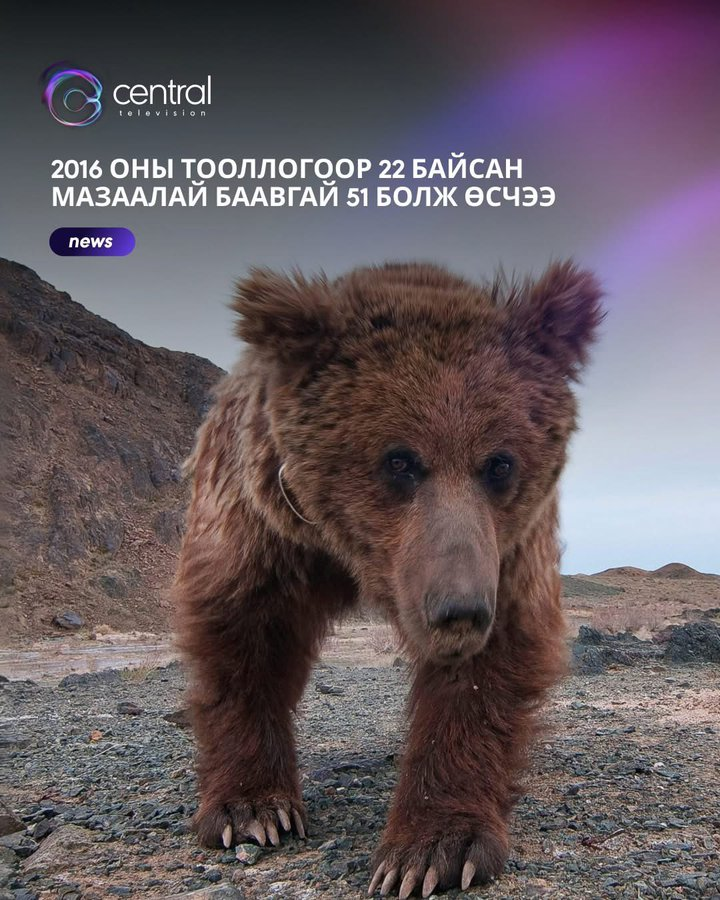 Хар бараан мэдээнүүд дунд ганц ч болов гялтайх сайхан мэдээ олж уншлаа