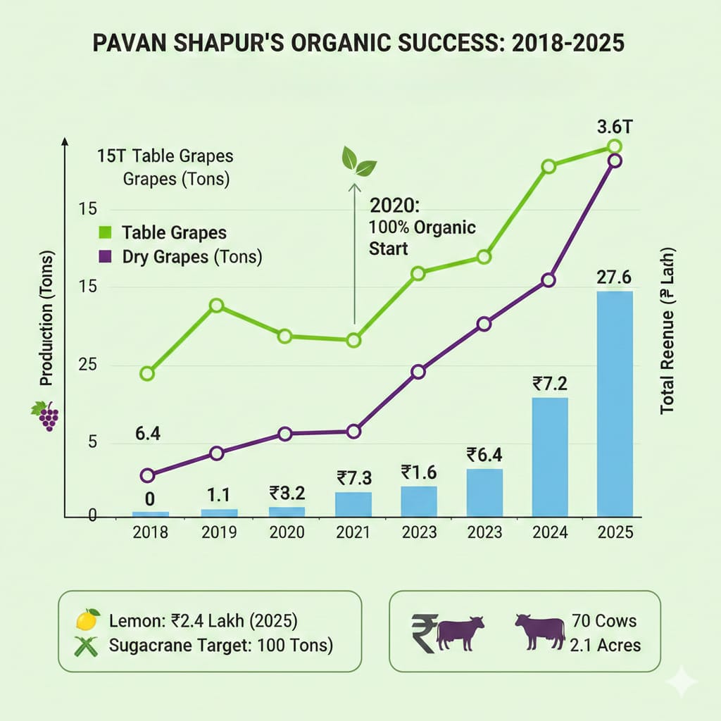 SantoshAvinash7's tweet photo. Jay Gurudev! Meet Pavan Vasant Shahpur from Bagalkot, Karnataka a visionary farmer in our family. Who has proven that transitioning from chemical to Gau-Adharit Krishi (Cow-Based Farming) isn't just good for the earth; it's a massive win for the wallet too.

​Location: Jamkhandi Taluka, Bagalkot, Karnataka.
Farm size: 2 Acre 10 Guntas.

​Plant Varieties: 1,300 Manikchaman plants & 600 Thomson plants.

​In 2018, Pavan used a 50/50 mix of chemical and organic methods. From 2018 to Today, the farm is a powerhouse of natural inputs  using Minimal Intervention: Uses only 3gm of GA per acre annually and Hydrogen Cyanamide specifically for bud pesting.

Pavan doesn't stop at grapes. He utilizes intercropping with Urad and Green Gram,vegetables in the grapes.

He also have ​Lemon 180 plants yielded a staggering ₹2,50,000 in the 2024-25 season. Along with 
​Sugarcane: He has set a massive target of 100 Tons for the per acre  current year with highest Sugar recovery.
For more information Please contact Pavan shahpur 9900992140,  Santosh Desai 79 72 30 69 17, Dr. Sheshgiri gubbi  94832 84928
Thank you!
@Gurudev @ArtofLiving
@AgriGoI  @narendramodi @Dev_Fadnavis
@CMOMaharashtra @mieknathshinde @OfficeofSSC @PMOIndia
@ChouhanShivraj @AnantkumarH 
@DineshGhodke