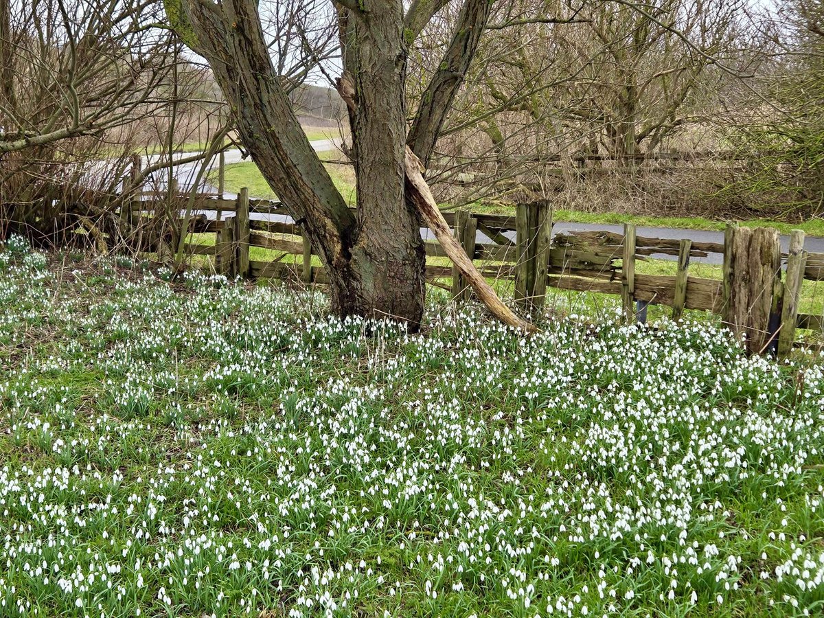 Fup Boon tweet media