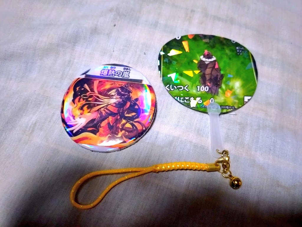 りささんから頂いた 「缶バッジ」と「ミニうちわ」！ めちゃくちゃ