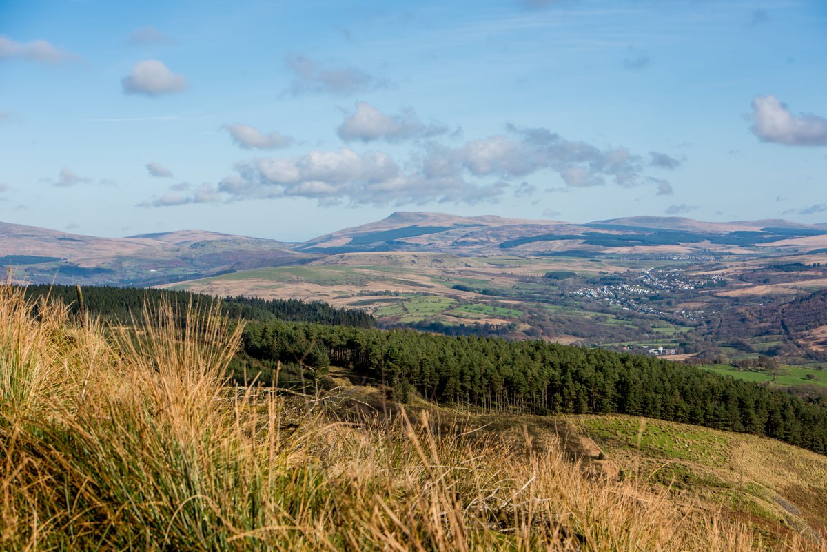 Dramatic Heart of Wales tweet media