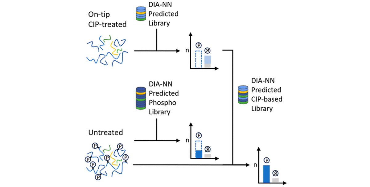 Vadim Demichev tweet media