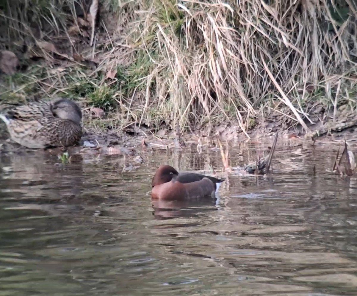 Thomas Porter tweet media