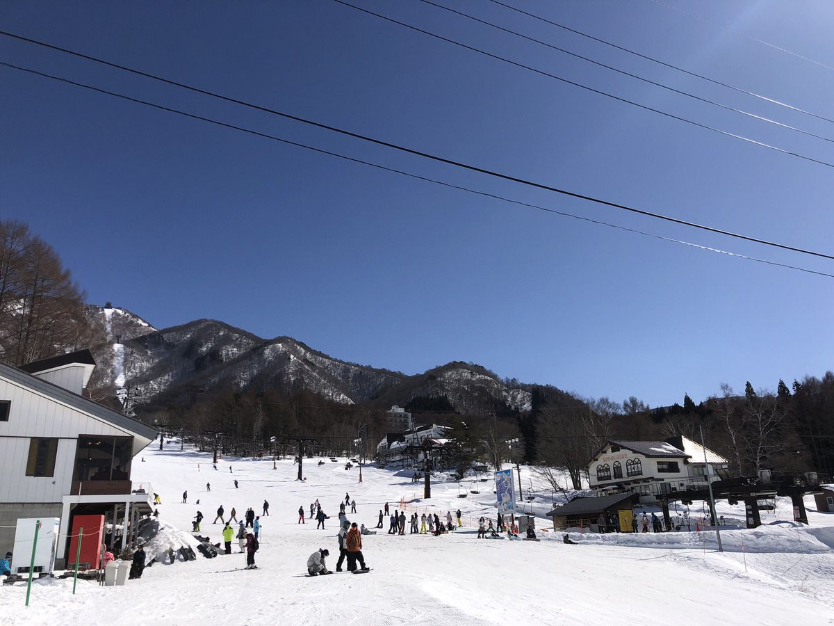 のあ*🌸 tweet media