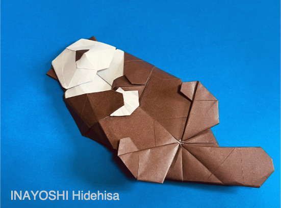 日本折紙学会 tweet media