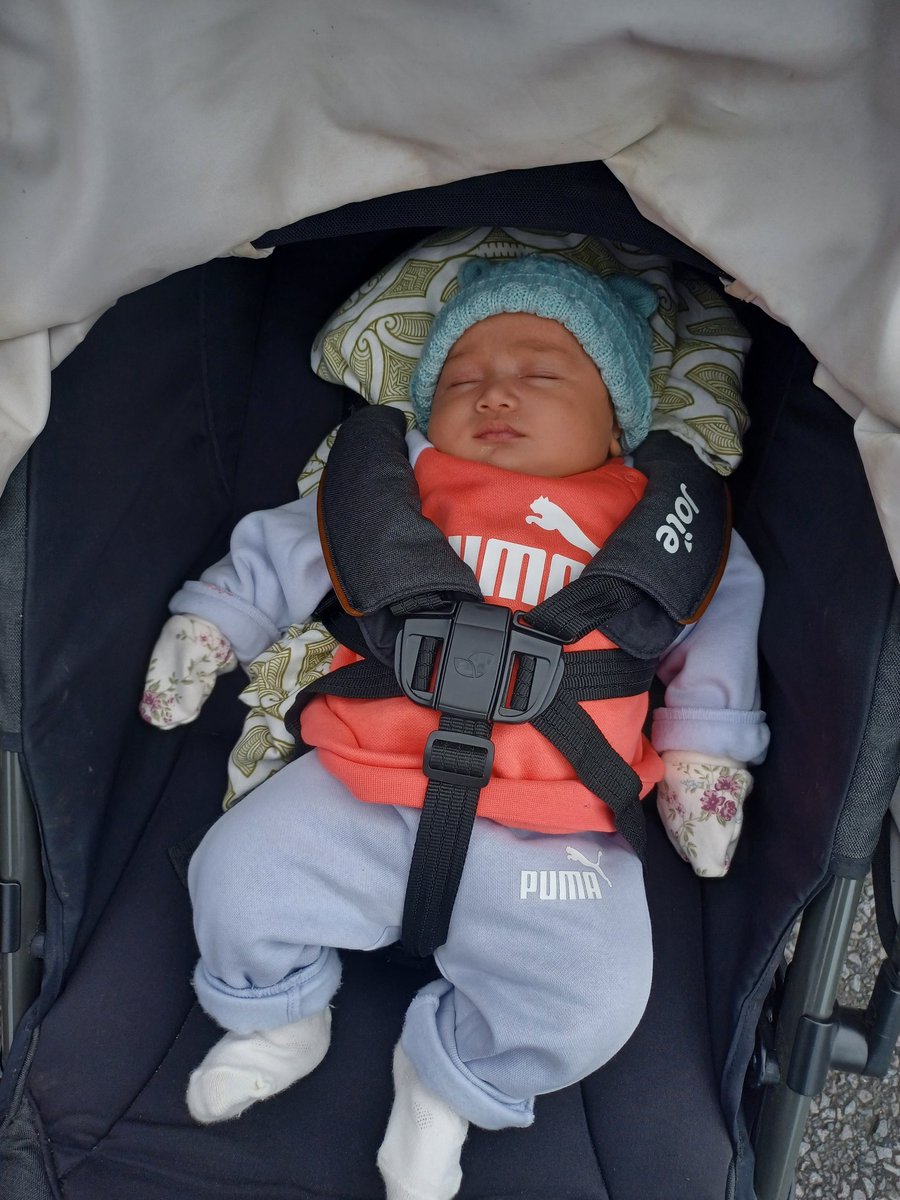 Shingo🇳🇿 tweet media