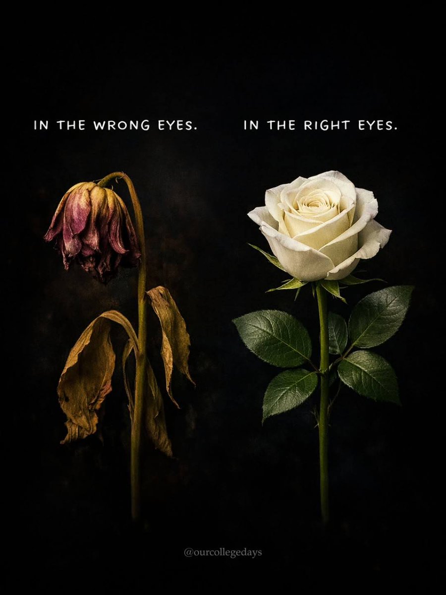 Mind Essentials (@mind_essentials) on Twitter photo 