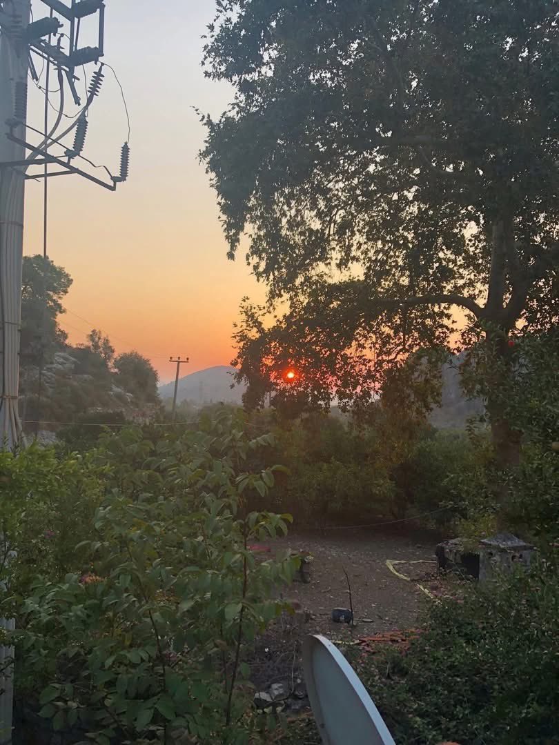 Good Morning Dear Friends,
Please join my Yoga Holiday on Monday 18th to 25th May 2026.
Venue: Granadine Lodge Dalyan Turkey.Please contact Jilly/Debbie at Freespirit Yoga for more information. 
📞 01273-564230
freespirityoga.co.uk 

freespirityoga.co.uk/page/all-holid…
 Have a great day
