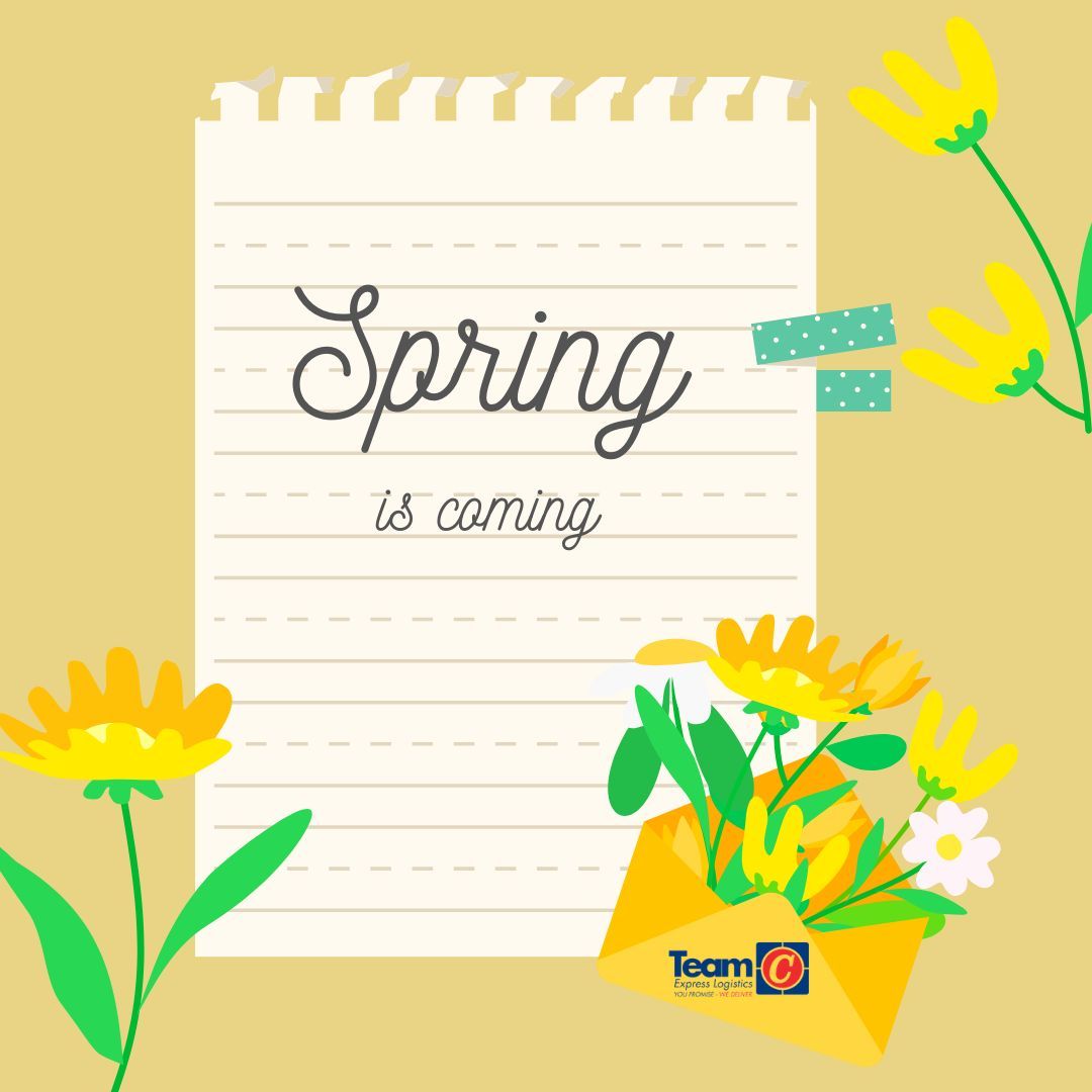 Team C Express Log tweet media