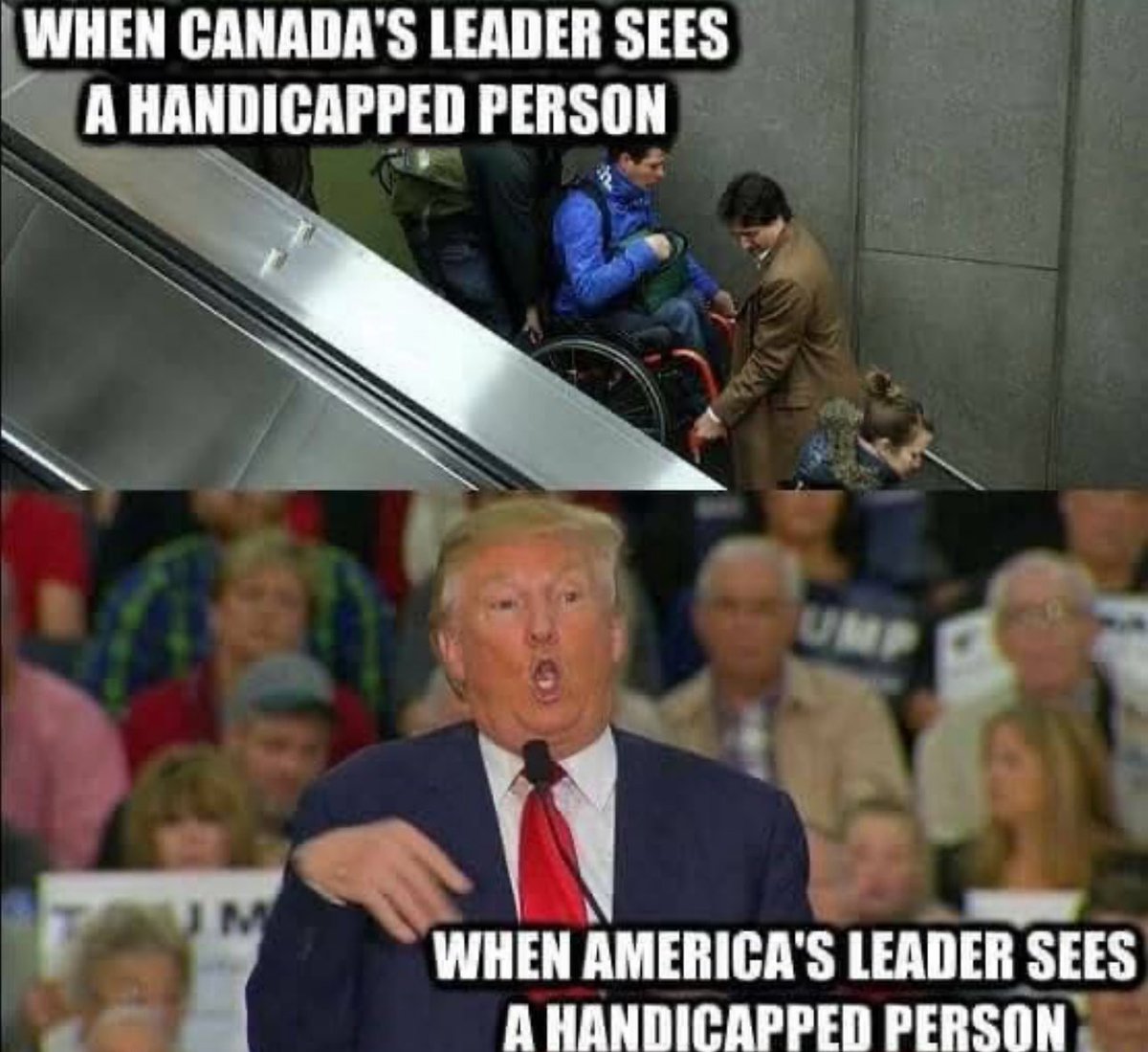 MaggieMay 🇨🇦🇪🇺🇮🇪 tweet media