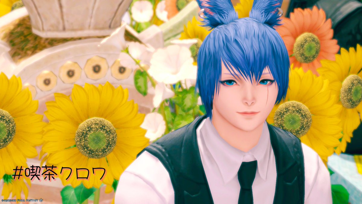 うさおに釣られておじゃましにきました！ 撮らせてもらったものツリー