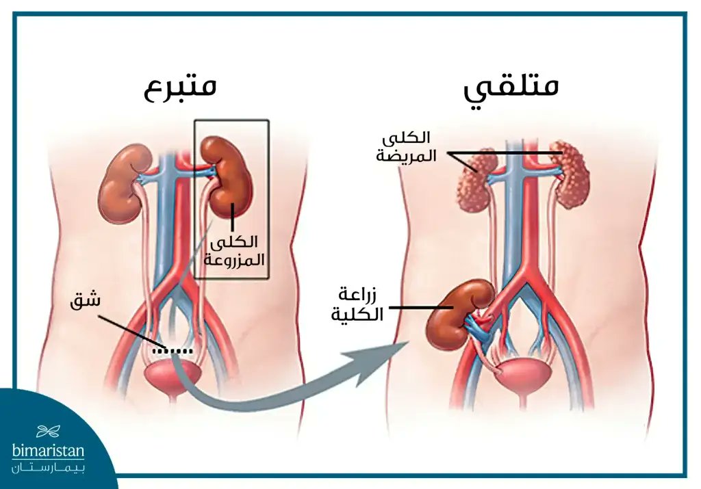 محمد عاطف السالمي tweet media