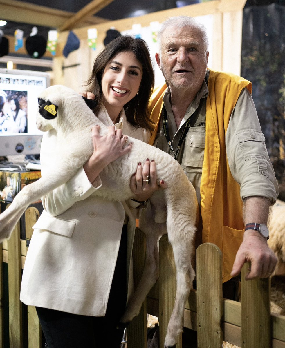 Shannon Seban tweet media