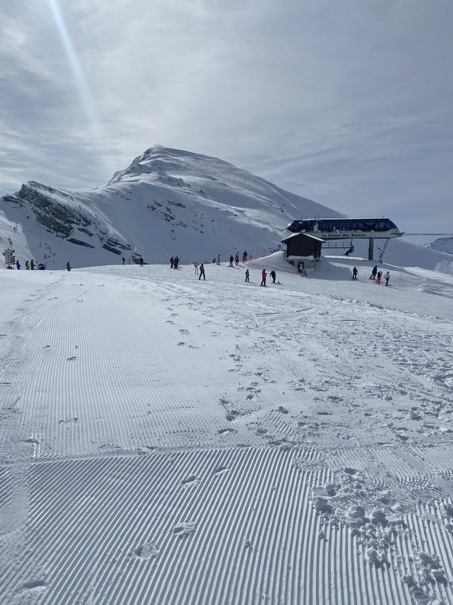 Doxaa (@notdoxaa) on Twitter photo 