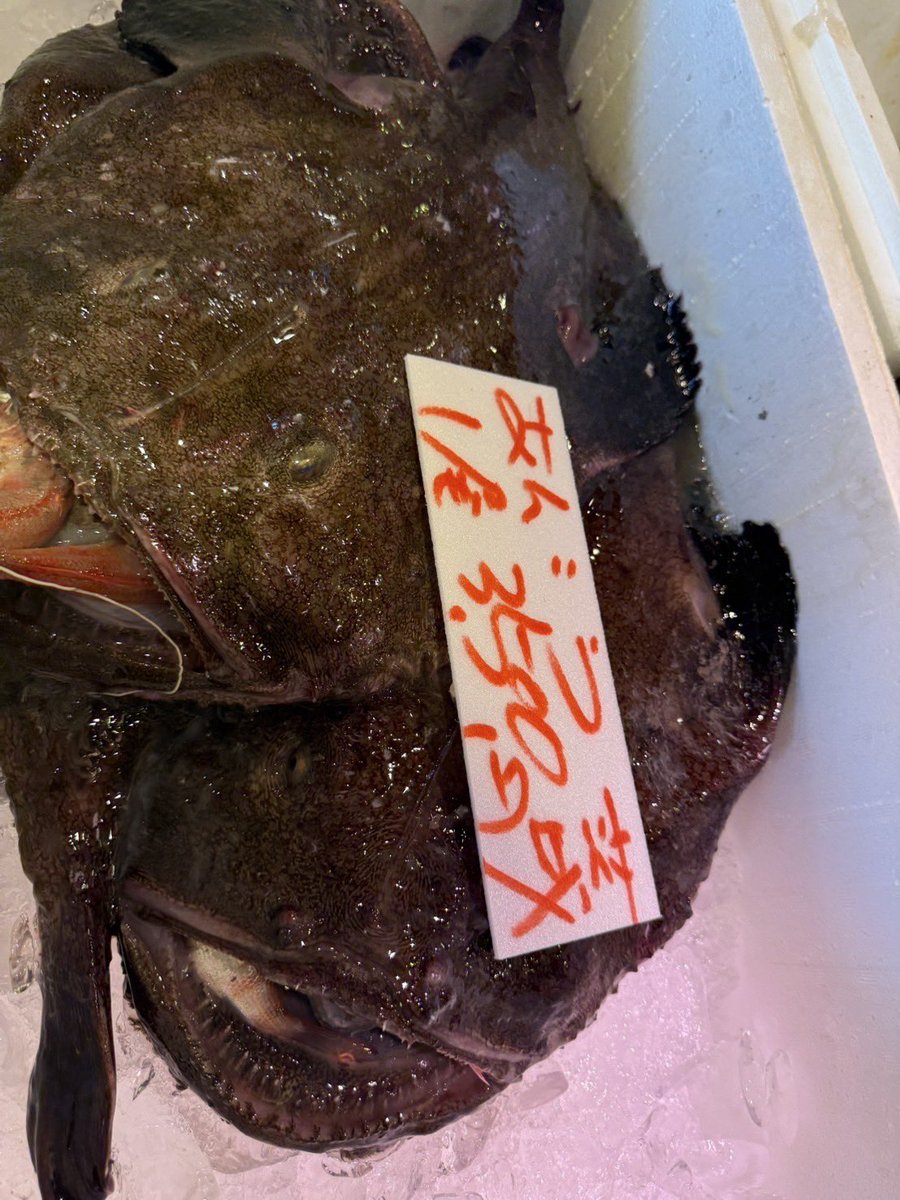 dai_dai_k's tweet photo. みなさんも、オフあってのオン！
きょうは、#那珂湊おさかな市場 にて、冬の味覚あんこうを買い、帰って無心に料理。
料理は最高の解放タイム。ツアーで頂いた日本酒に合う食事。 https://t.co/6WinT8cnOm