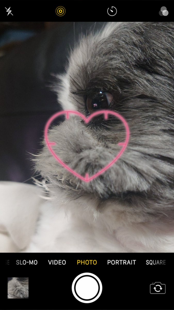 jVvb01MX3o2jMLH's tweet photo. 生きてます https://t.co/adREcCGvM5
