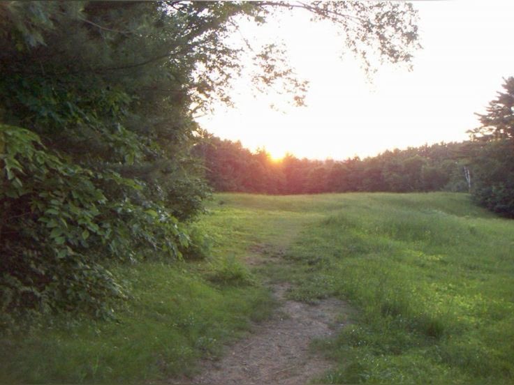 what does pinterest think of you??

aura 
color
album 
scenery