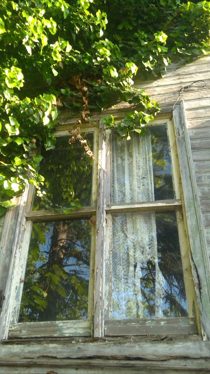 senar (@senarada) on Twitter photo 