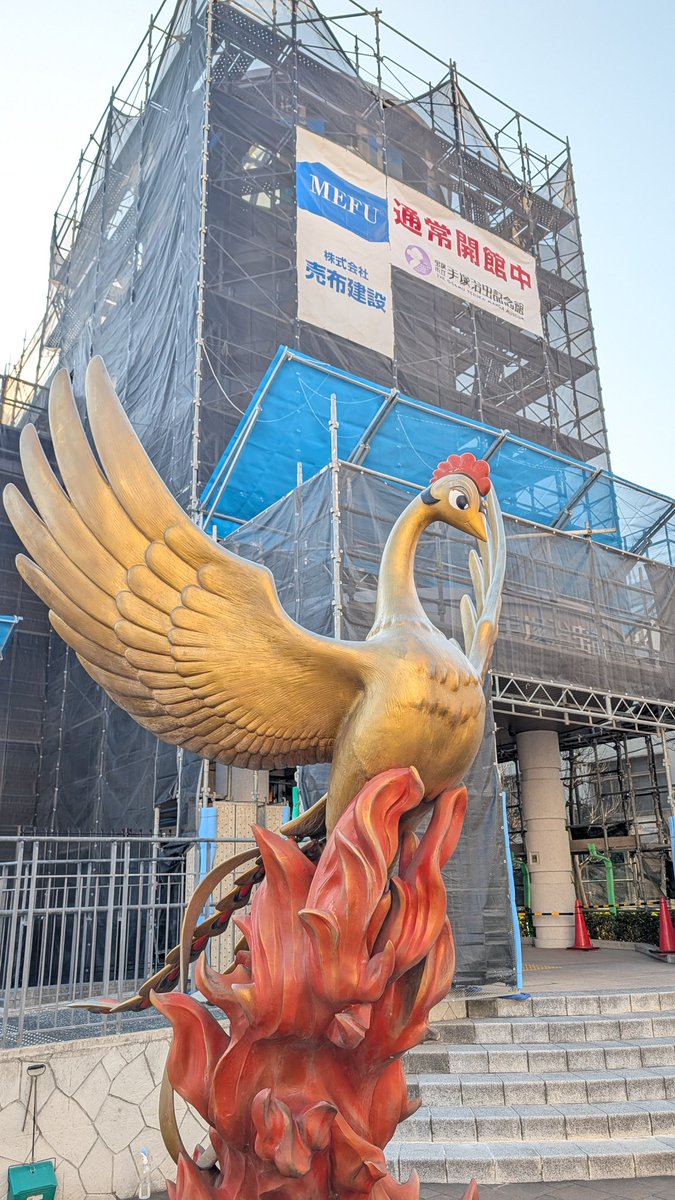 マヤ·K·アッキー tweet media