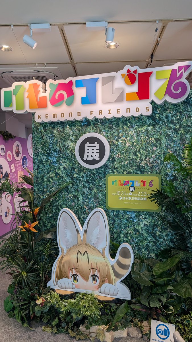 マヤ·K·アッキー tweet media