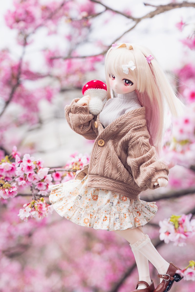 ベニちゃん🍄🍄🩷🩷 #ぽもろこ