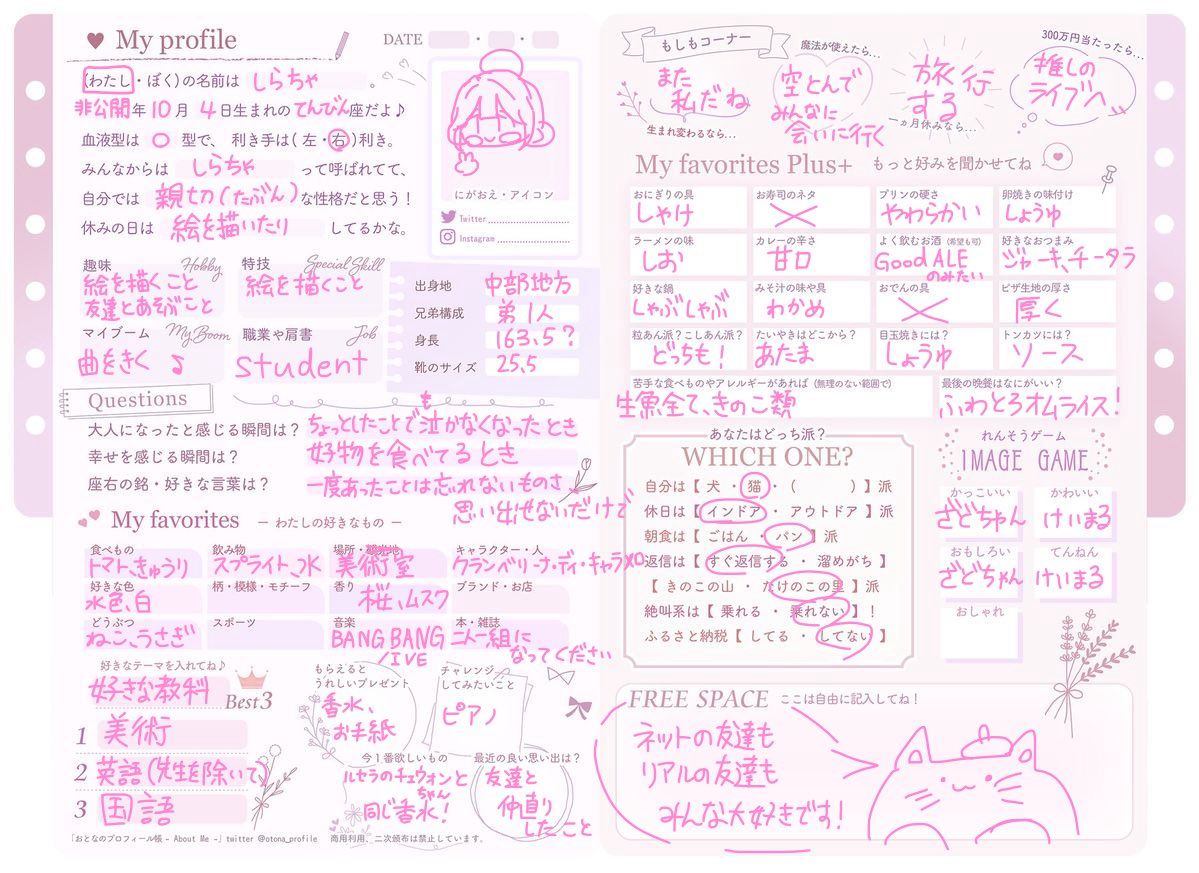 何気に書いてみたかったプロフィール帳💕💕