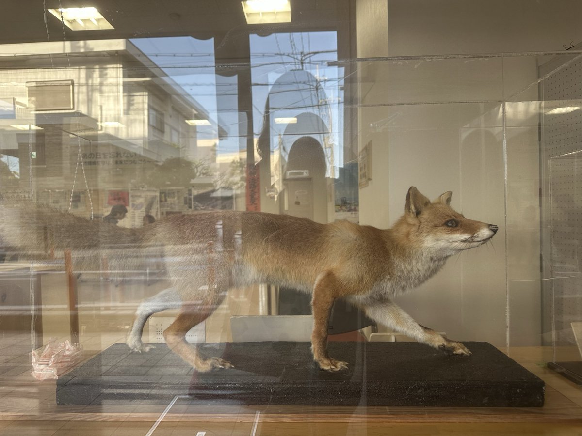 豊中市の「キツネ」🦊 ラベルから1992年 豊中市少路2丁目（羽鷹池の