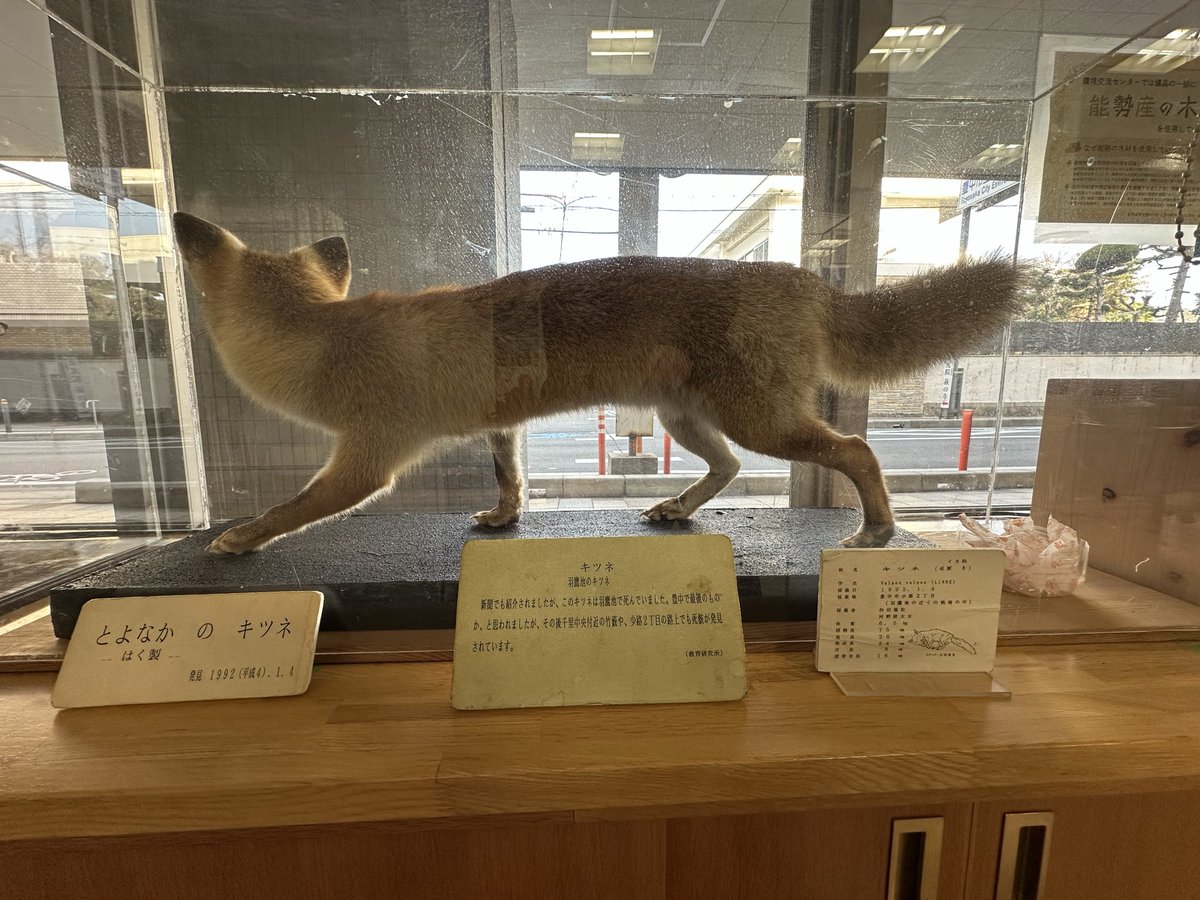 豊中市の「キツネ」🦊 ラベルから1992年 豊中市少路2丁目（羽鷹池の