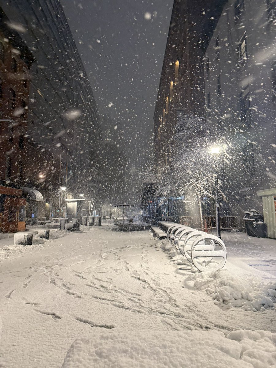 blanco leopardo tweet media