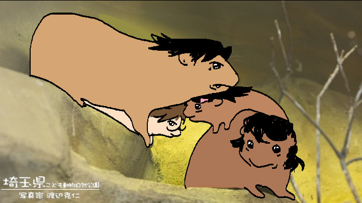 tut 🌸🐝 tweet media