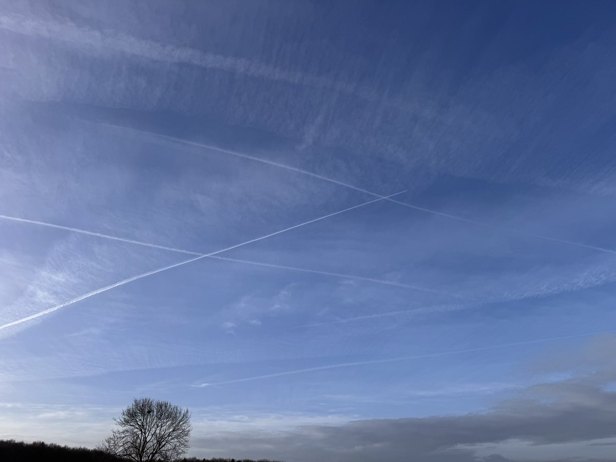 Tim Adkins tweet media