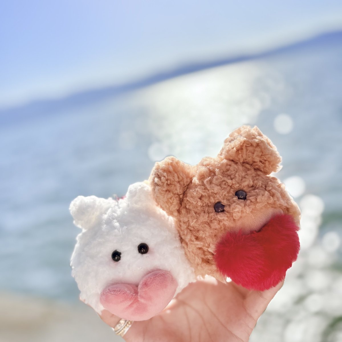 Cootan / くぅたん 公式アカウント (@cootan181) / Posts / X