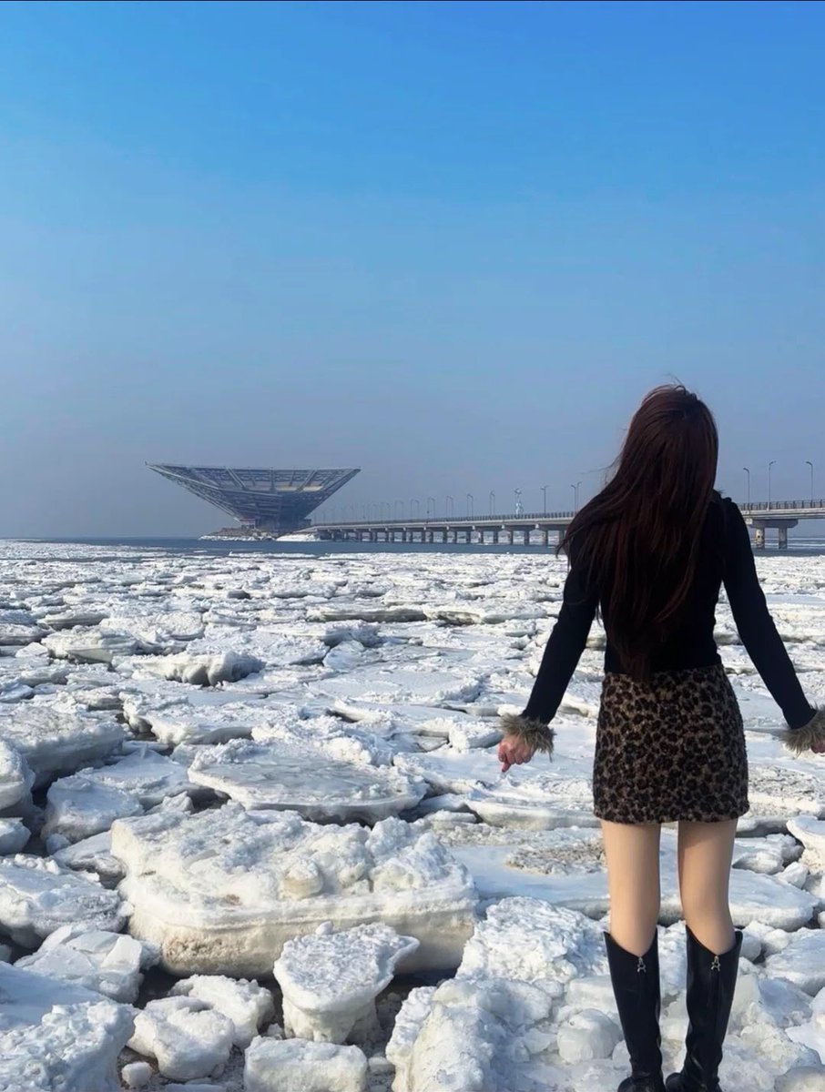 大连新手FQ tweet media