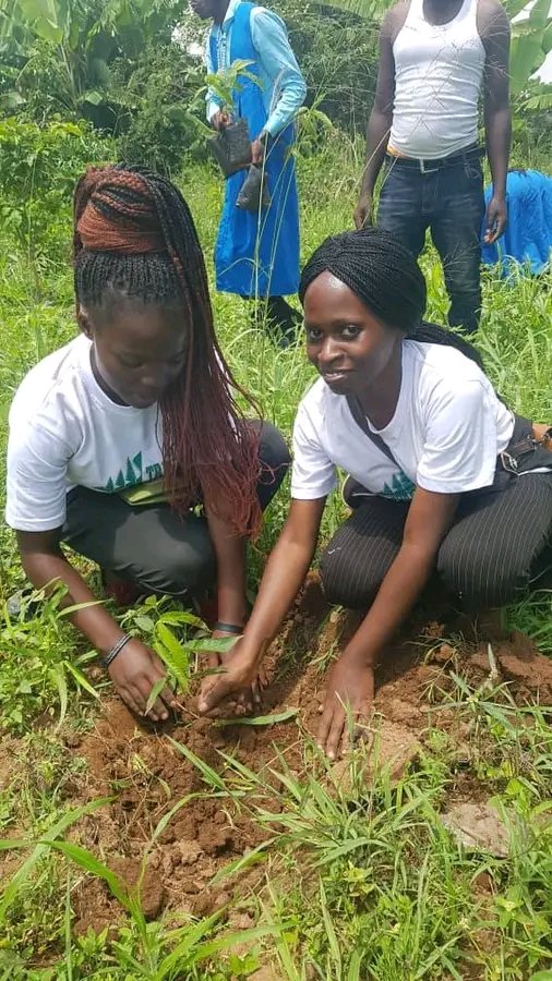 Trinity Forestry Services tweet media