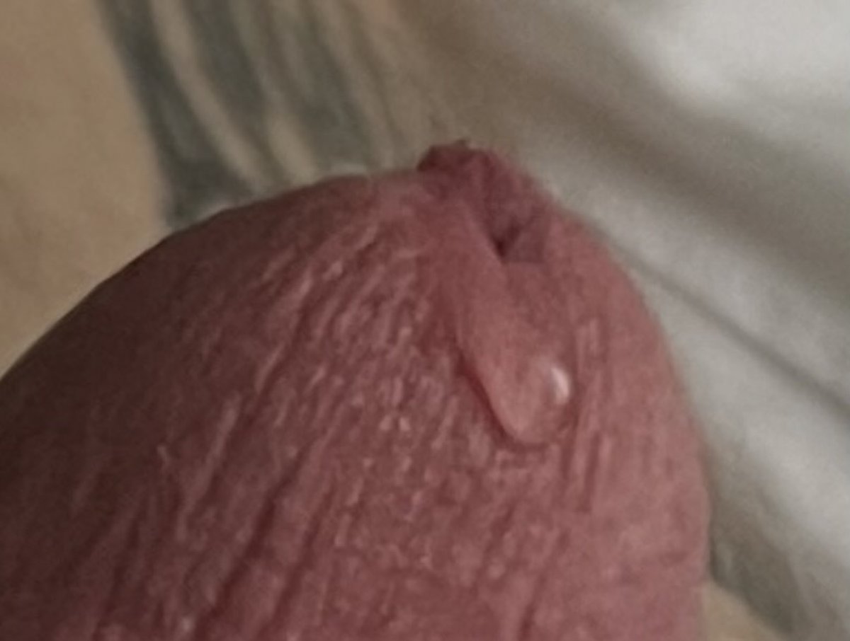 Ми🐳а tweet media