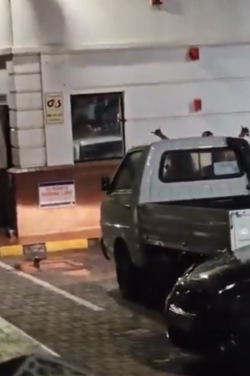 CK kriel tweet media