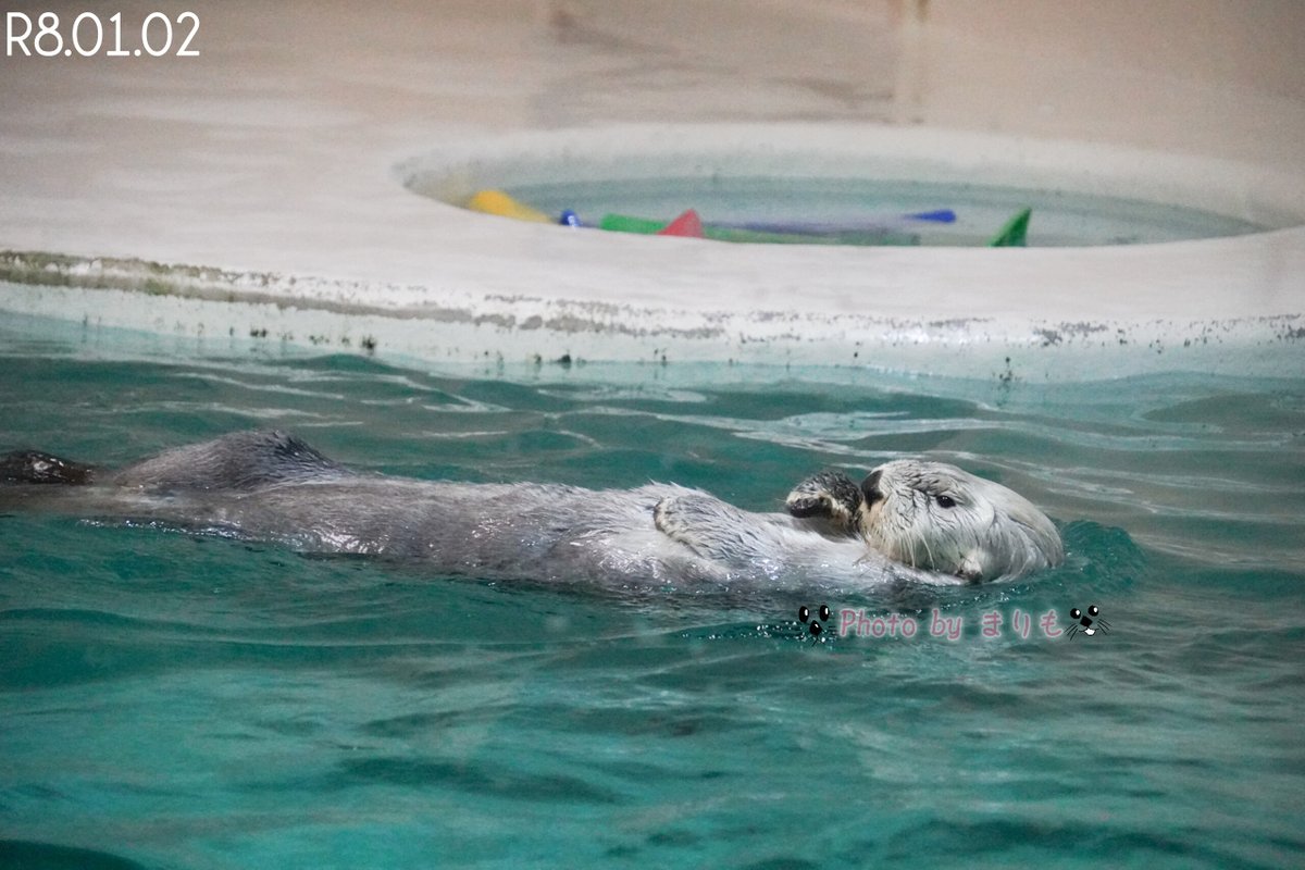今日もお疲れ様です！ キリッ✨とキラちゃん💕