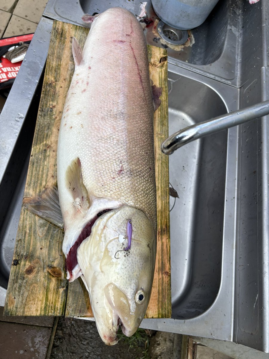 釣れるかな…と自分で上から塗装したカラーで釣れてくれると嬉しい