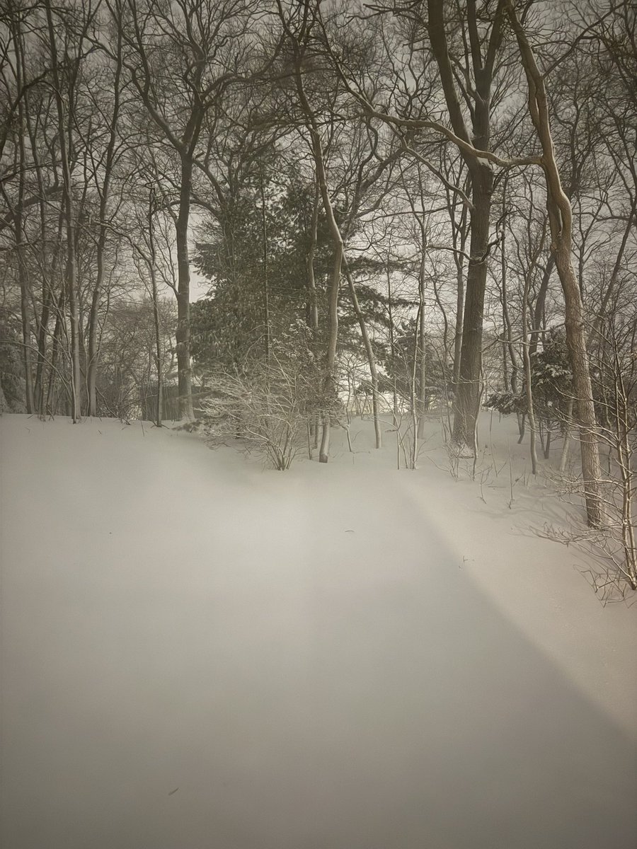 Emily See tweet media